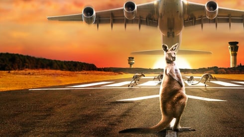 Inside: Melbourne Havalimanı belgeseli National Geographic’te