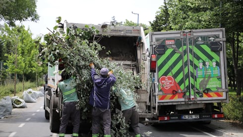İstanbul’a 26 bin 522 ağaç dikildi