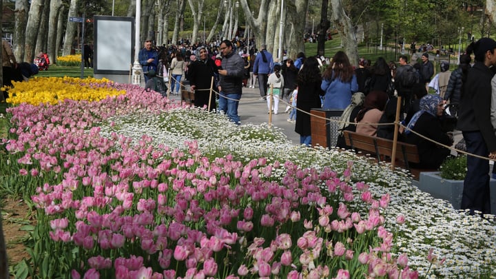 Lale Bayramı sona erdi